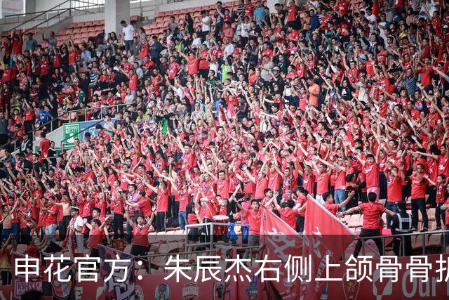 申花官方：朱辰杰右侧上颌骨骨折，预计恢复期4-6周